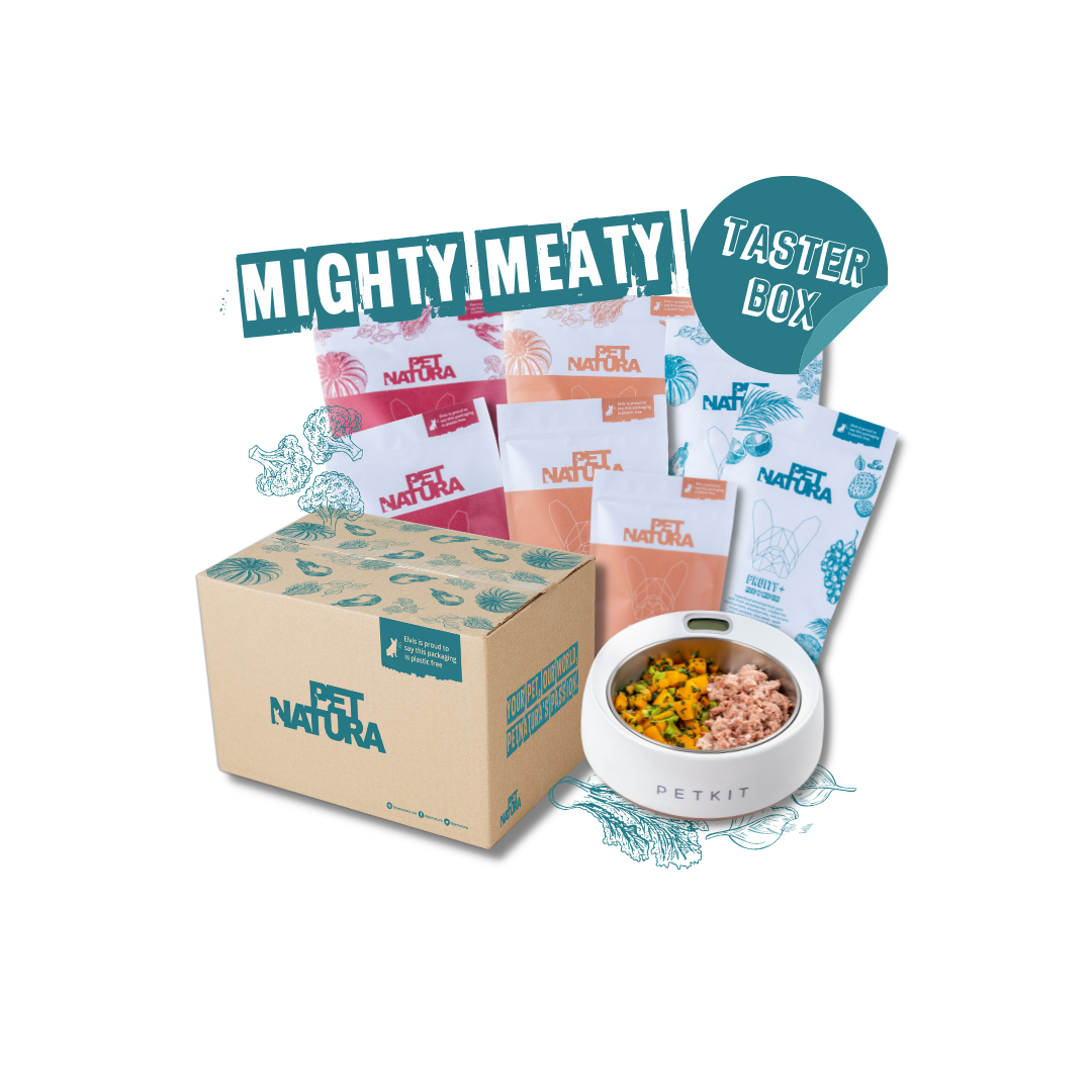 Mighty meaty 2025 dog food